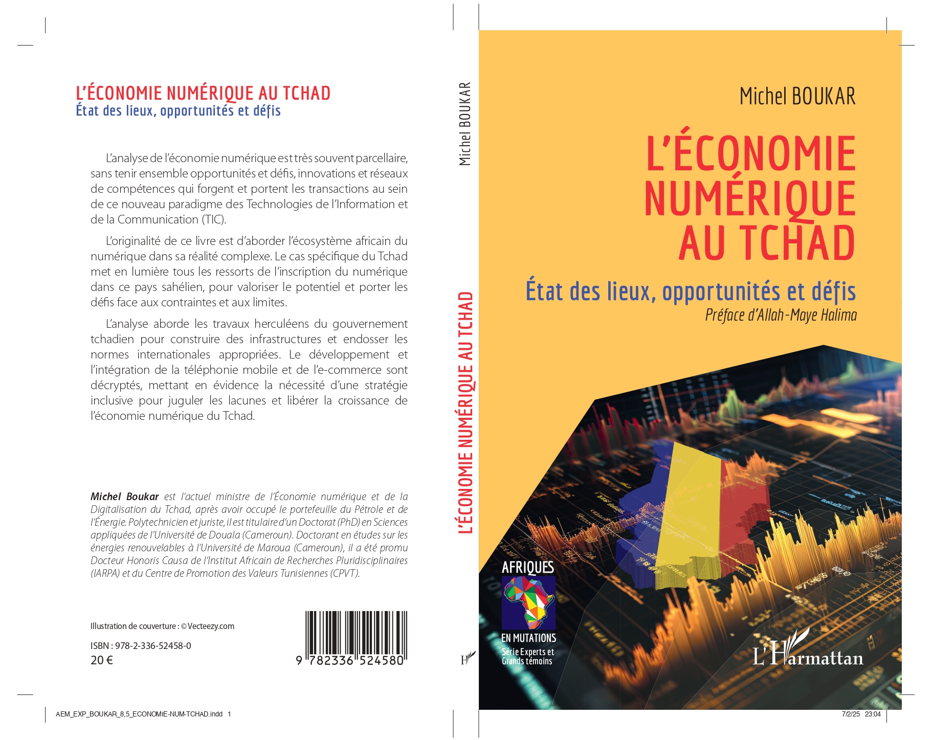 L'Économie Numérique au Tchad